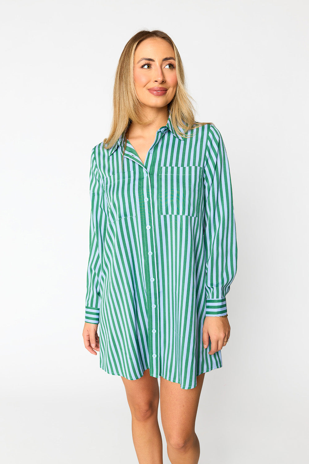 BuddyLove Beau Mini Shirt Dress - Cucumber Water