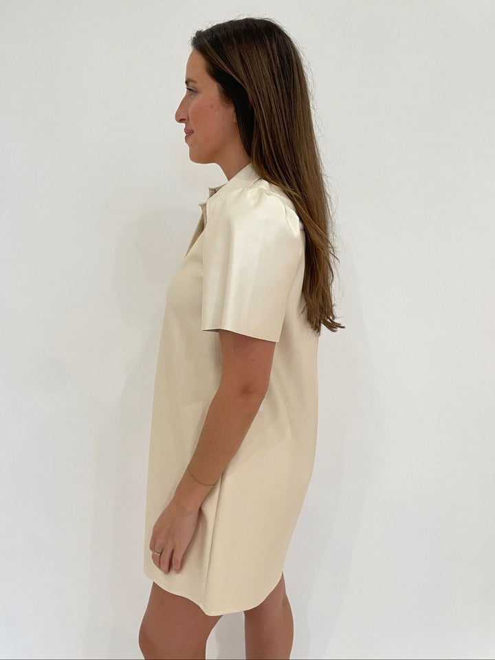 BK Sofi Short Sleeve Mini Swing Dress in Pearl available at Barbara Katz